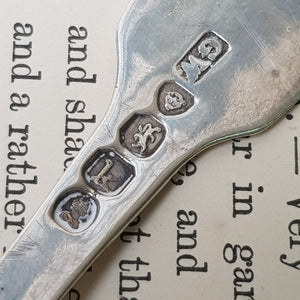 Sterling Silver Shelled Fiddle Pattern Tea Caddy Spoon With Flora Chased Bow Antique Georgian London Circa 1825