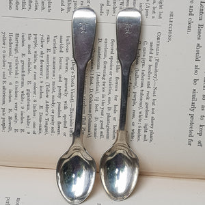 Sterling Silver Pair Of Fiddle Pattern Egg Spoons Antique Victorian London circa 1839