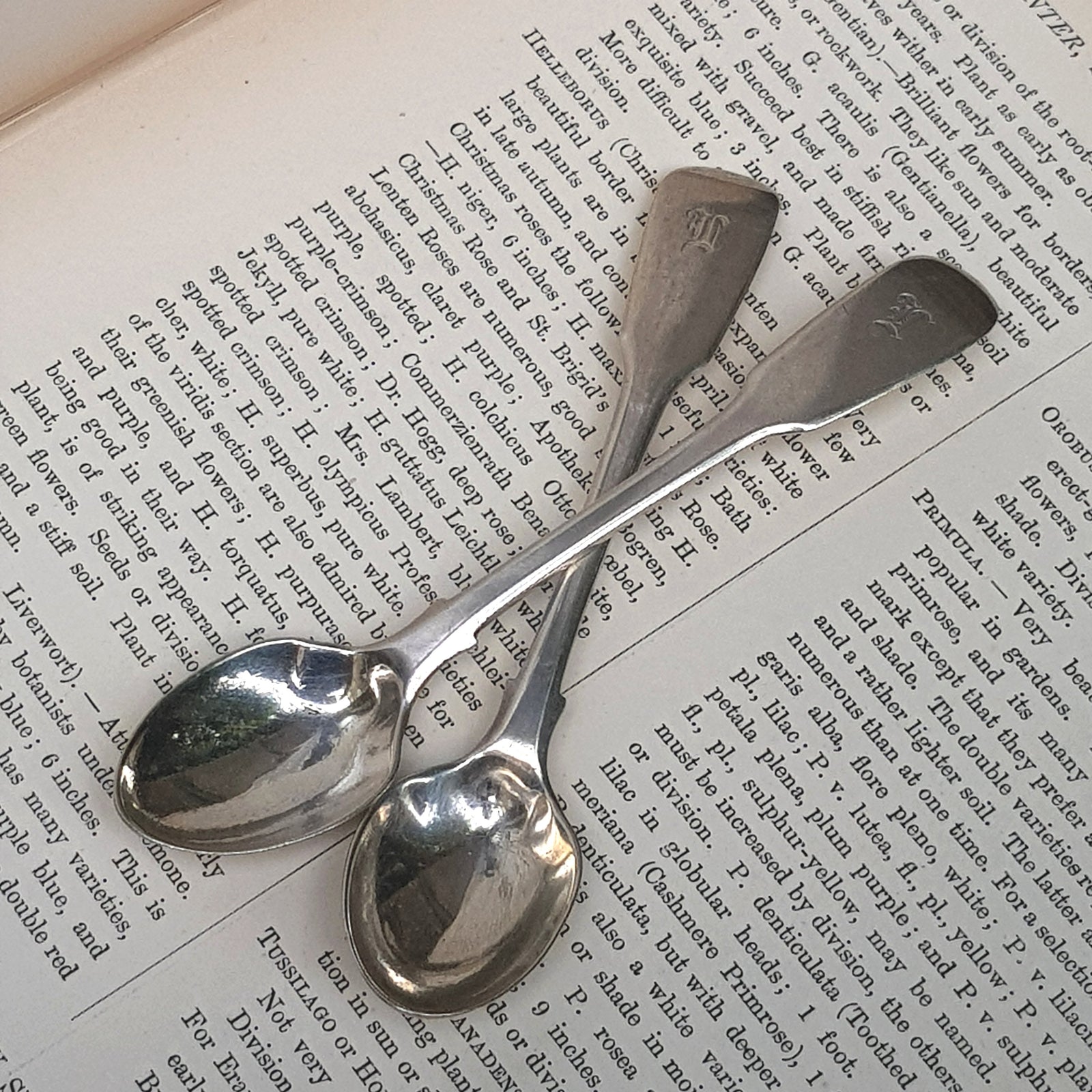 Sterling Silver Pair Of Fiddle Pattern Egg Spoons Antique Victorian London circa 1839