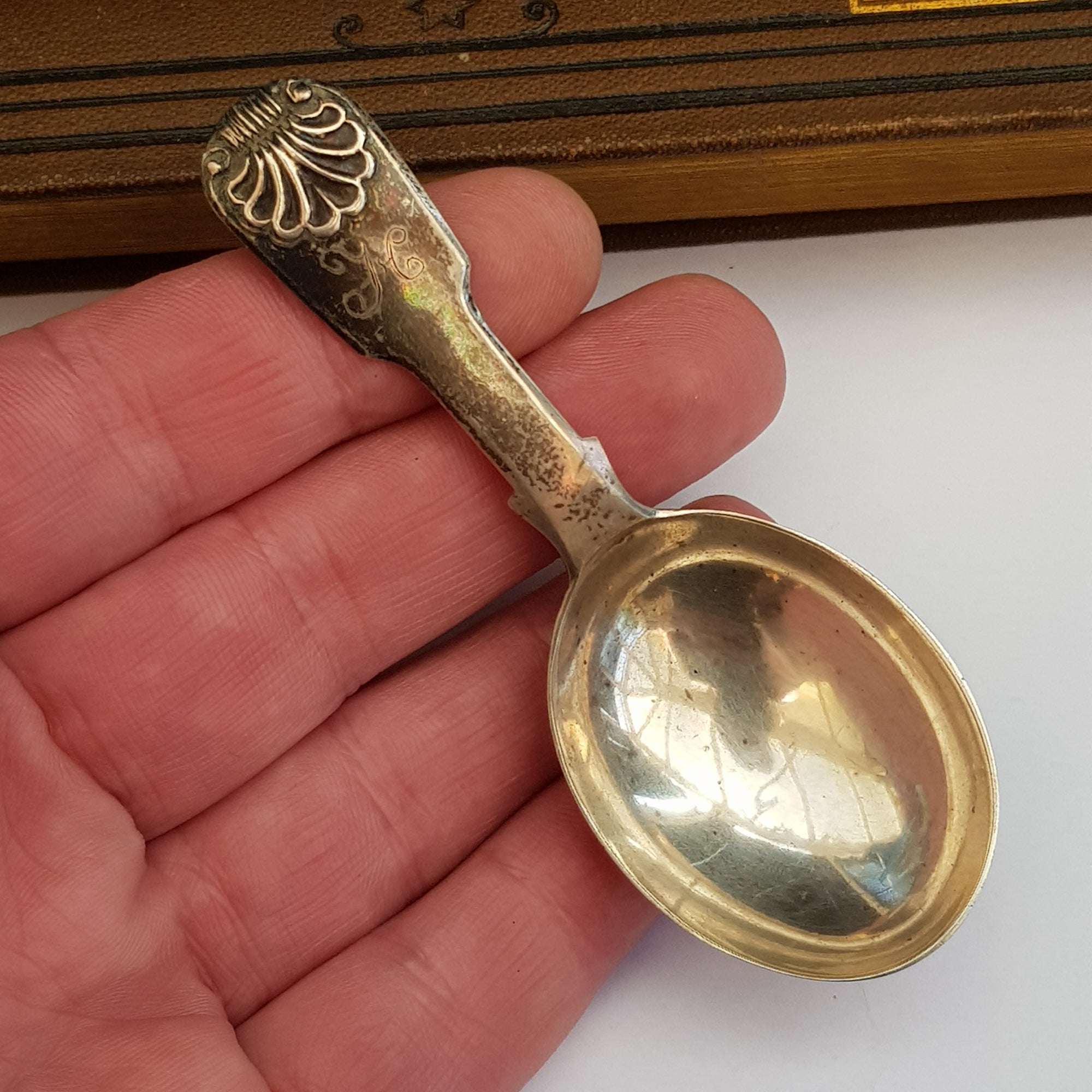 Sterling Silver Shelled Fiddle Pattern Tea Caddy Spoon Antique London circa 1827