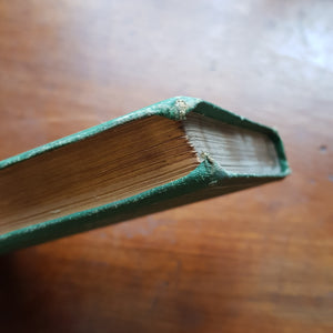 The Fern Garden Shirley Hibbert Green Cloth Bound Book Antique Victorian Circa 1879