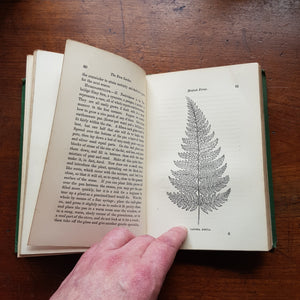 The Fern Garden Shirley Hibbert Green Cloth Bound Book Antique Victorian Circa 1879