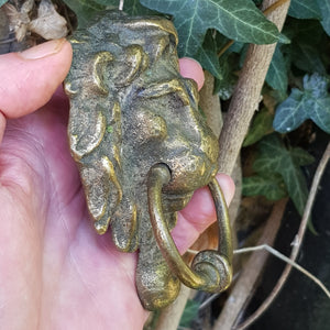 Good Pair Of Brass Lions Head Door Knockers Antique Edwardian Circa 1910