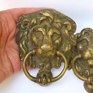Good Pair Of Brass Lions Head Door Knockers Antique Edwardian Circa 1910