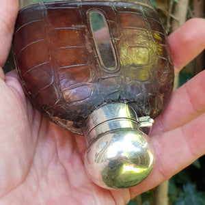 Quality Crocodile Skin Clad Blown Glass Hip Flask With Silver Plated Fittings Mappin & Webb Antique c1900