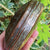 Egyptian Grand Tour Souvenir Silver Decorated Solid Copper Box Antique Circa 1920's