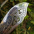 Ornate Pair Of Deer Antler Handled Silver Plate Mounted Fish Servers Antique Victorian Circa 1890
