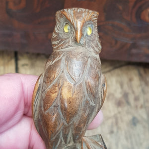 Superb Carved Owl Figure On Branch Elmwood Letter Opener Antique Circa 1900