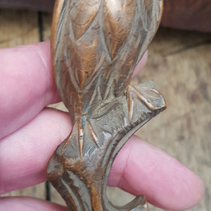 Superb Carved Owl Figure On Branch Elmwood Letter Opener Antique Circa 1900