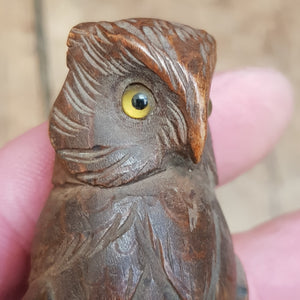 Superb Carved Owl Figure On Branch Elmwood Letter Opener Antique Circa 1900