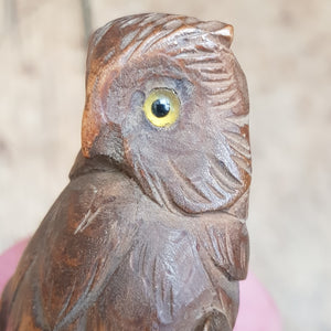 Superb Carved Owl Figure On Branch Elmwood Letter Opener Antique Circa 1900