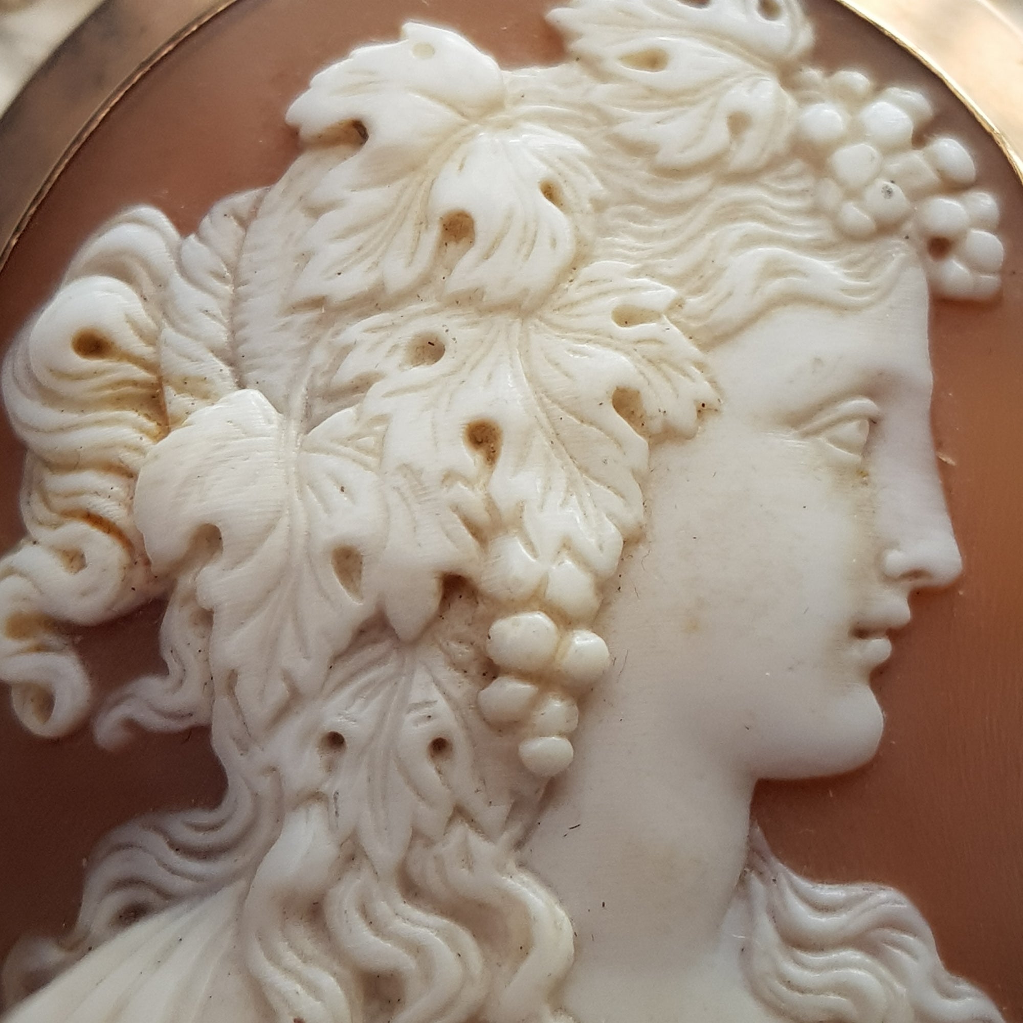 9k Rose Gold Mounted Carved Shell Camo Brooch As Dionysus Antique Edwardian c1910