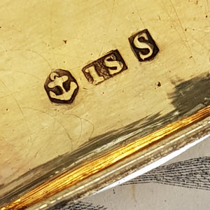 Rare Sterling Silver Novelty Purse Bag Shaped Vinaigrette Antique Georgian Birmingham Circa 1816