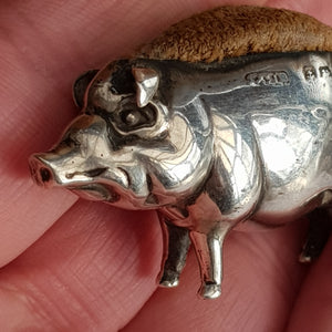 Rare Sterling Silver Novelty Pig Shaped Pin Cushion Antique Edwardian Birmingham Circa 1908
