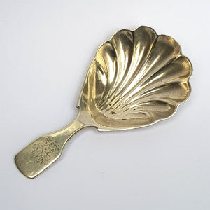 Sterling Silver Shelled Bowl Tea Caddy Spoon Antique Georgian London Circa 1829