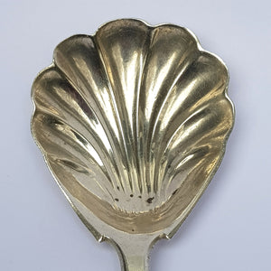 Sterling Silver Shelled Bowl Tea Caddy Spoon Antique Georgian London Circa 1829
