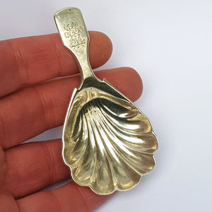 Sterling Silver Shelled Bowl Tea Caddy Spoon Antique Georgian London Circa 1829