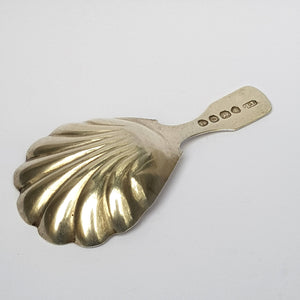 Sterling Silver Shelled Bowl Tea Caddy Spoon Antique Georgian London Circa 1829