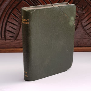 Rare James Dixon & Son Faux Book Liquor Canteen Hip Flask Antique Victorian Circa 1890
