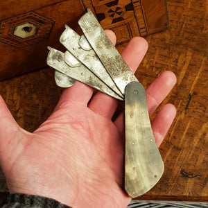 Carved Horn Hand Made Steel Medical Doctors Blood Letting Tool  Edinburgh Antique Georgian c1770