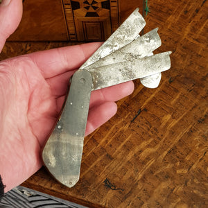 Carved Horn Hand Made Steel Medical Doctors Blood Letting Tool  Edinburgh Antique Georgian c1770