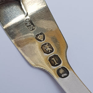 Sterling Silver Egg Bowled Fiddle Pattern Tea Caddy Spoon Antique London Circa 1826