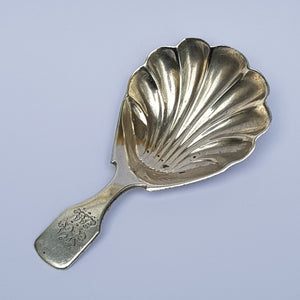 Sterling Silver Shelled Bowl Fiddle Pattern Tea Caddy Spoon Antique Georgian London Circa 1829