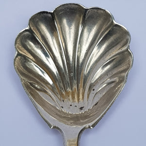 Sterling Silver Shelled Bowl Fiddle Pattern Tea Caddy Spoon Antique Georgian London Circa 1829