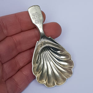 Sterling Silver Shelled Bowl Fiddle Pattern Tea Caddy Spoon Antique Georgian London Circa 1829
