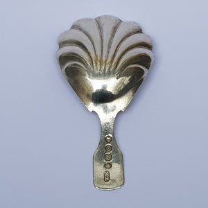 Sterling Silver Shelled Bowl Fiddle Pattern Tea Caddy Spoon Antique Georgian London Circa 1829