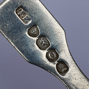 Sterling Silver Shelled Bowl Fiddle Pattern Tea Caddy Spoon Antique Georgian London Circa 1829