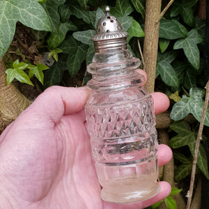 Sterling Silver Fitted Pair Of Cut Glass Pepper Pots Antique Georgian Sheffield circa 1821