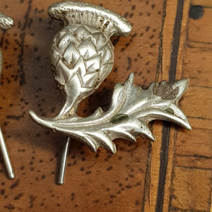 Sterling Silver Pair Of Hook Earrings As Scottish Thistles Antique circa 1910