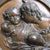 Bronze Plaque The Calmady Children E.W Wyon After Sir T. Lawrence Antique c1848