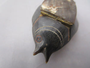 Carved Horn Fish Snuff Box Antique Victorian c1880