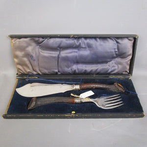 Cased Silver Plated & Horn Handled Fish Cutlery Set Antique Edwardian c1910