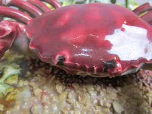 Ceramic Palissy Ware Crab Plate Vintage Mid Century c1950