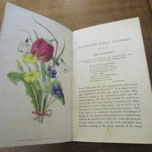 Field Flowers By  Robert Tyas  B.A First Edition Antique Book Dated 1848