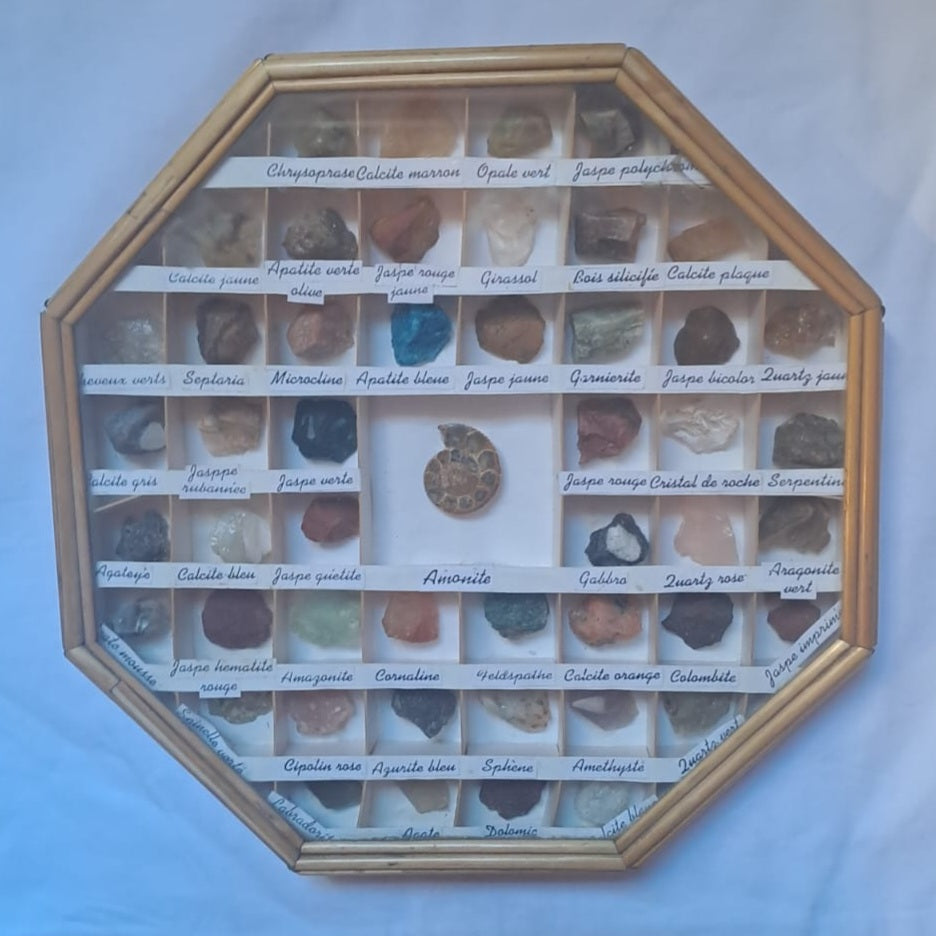 Set of French Specimen Stones or Rocks including Amonite, Opal and Jasper