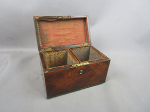 Walnut Wood Twin Compartment Tea Caddy Box Antique Georgian c1820