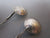 Pair Of Sterling Silver Sixpence Salt Spoons Antique Edwardian 1914