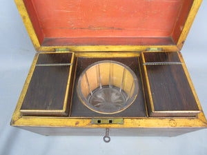 Rosewood Sarcophagus Tea Caddy Antique Georgian c1820