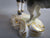 Royal Crown Derby Figurine 'The Shepherd' Vintage Mid Century c1950