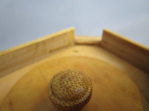 Treen Fortnum And Mason Tea Caddy Vintage c1970