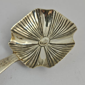 English Sterling Silver Caddy Spoon by William Edwards Antique Georgian 1800