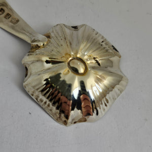 English Sterling Silver Caddy Spoon by William Edwards Antique Georgian 1800