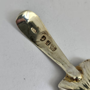 English Sterling Silver Caddy Spoon by William Edwards Antique Georgian 1800