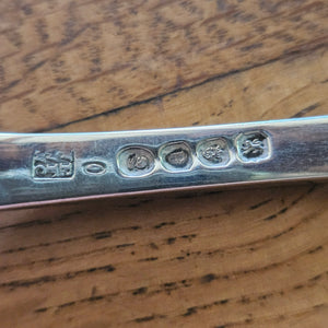 Heraldic Crest English Sterling Silver Marrow Scoop by William Eley I, William Fearn & William Chawner Antique Georgian