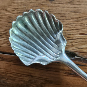 Pair of Regency Salt Dishes English Sterling Silver by D & R Hennell Shell Spoons Antique Georgian