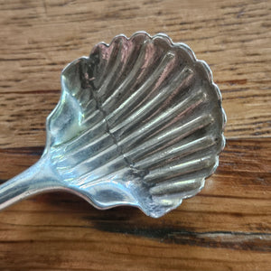 Pair of Regency Salt Dishes English Sterling Silver by D & R Hennell Shell Spoons Antique Georgian